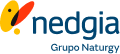 Logotipo de Nedgia de pie