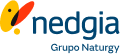 Logotipo de Nedgia de cabecera