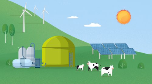 ¿Qué son y qué tipos de energía renovable hay?